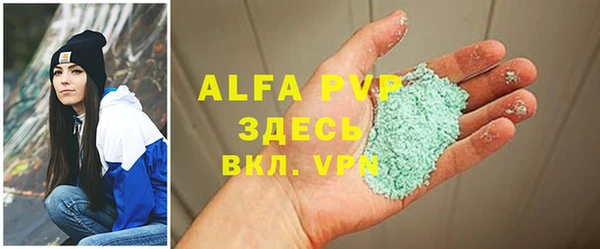 прущие грибы Осташков