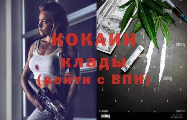 прущие грибы Осташков