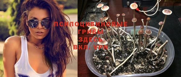 прущая мука Остров