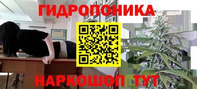 трава Донецк
