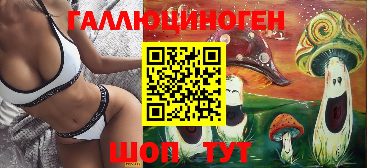 Псилоцибиновые грибы Psilocybine cubensis  наркошоп  Кузнецк 
