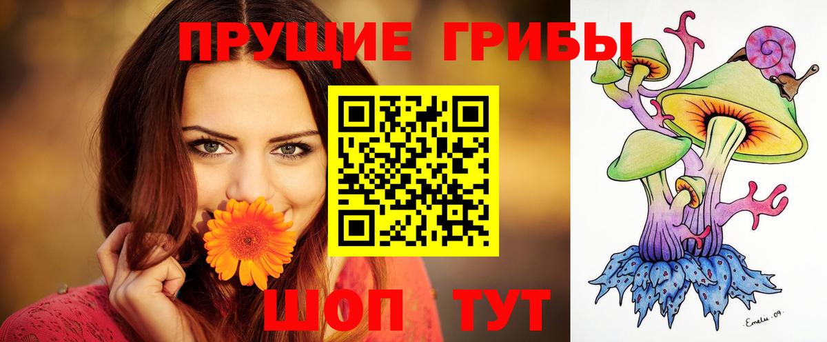 Галлюциногенные грибы прущие грибы Кузнецк