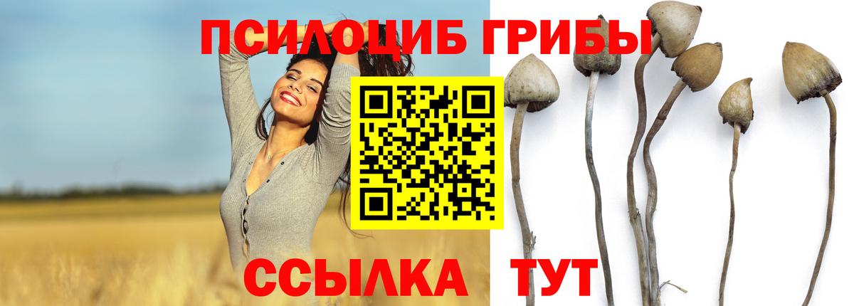 Кузнецк  Псилоцибиновые грибы мицелий  Вход с VPN 